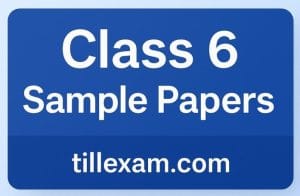 Class 6 CBSE Sample Papers (NCERT Based) — Mid Term & Final Exams